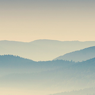 虚拟号码短信发送平台