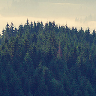 24小时轰炸对方的电话