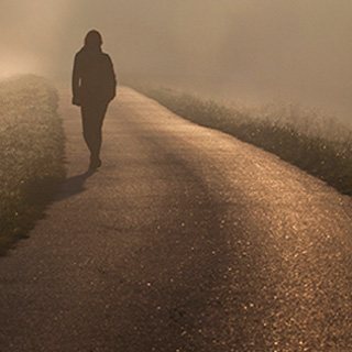 免费轰炸电话软件下载