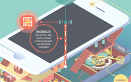 在线短信验证码接收